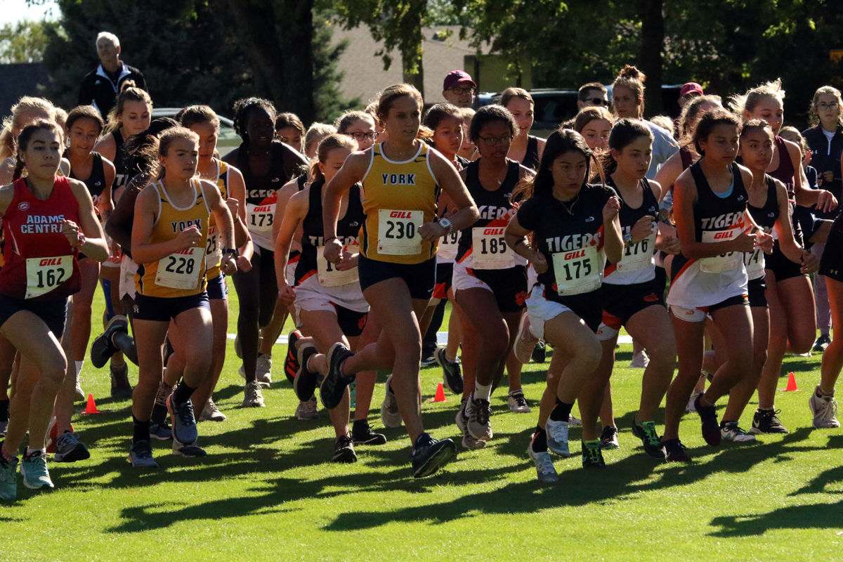 York Cross Country Invite (2).jpg
